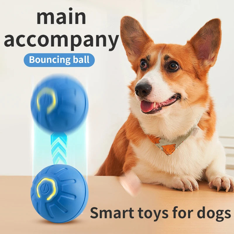 Brinquedo eletrônico interativo para cães